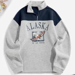 Fleece Lined ALASKA Graphic Quarter Zip 90s Sweatshirt